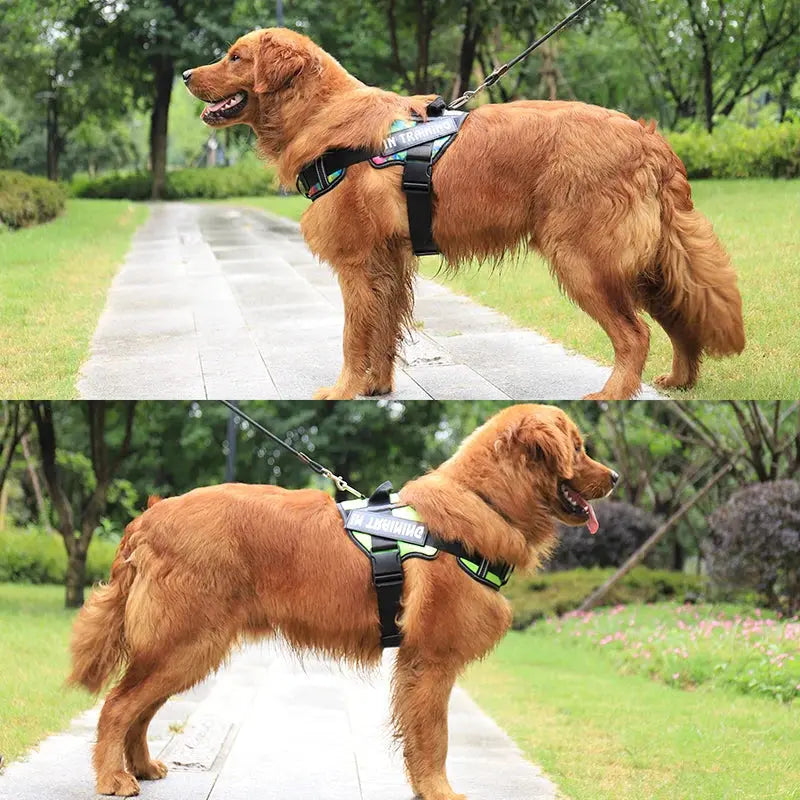 KOMMILIFE Nylon Adjustable Dog Harness Excel Pets