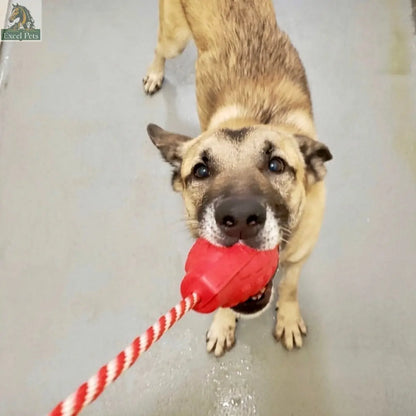 USA-K9 Grenade Rubber Dog Chew Toy | K9 Handler Reward Toy | Blue | USA Made SodaPup/True Dogs, LLC