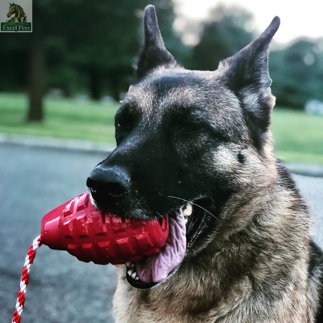 USA-K9 Grenade Rubber Dog Chew Toy | K9 Handler Reward Toy | Blue | USA Made SodaPup/True Dogs, LLC