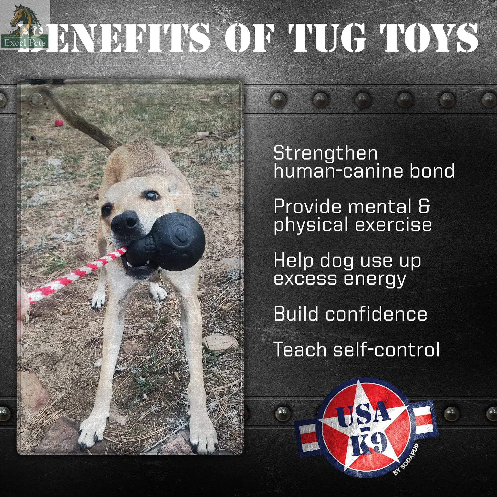 USA-K9 Magnum Skull - Black Magnum Rubber Chew Toy for Extreme Chewers | USA Made SodaPup/True Dogs, LLC