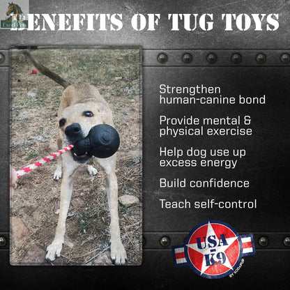 USA-K9 Magnum Skull - Black Magnum Rubber Chew Toy for Extreme Chewers | USA Made SodaPup/True Dogs, LLC