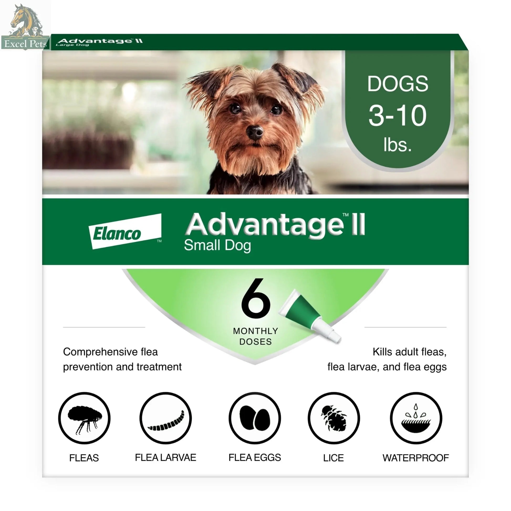 Vet-Recommended Flea Prevention for Small Dogs 3-10 Lbs, 6-Monthly Treatments MJ's Pet Closet