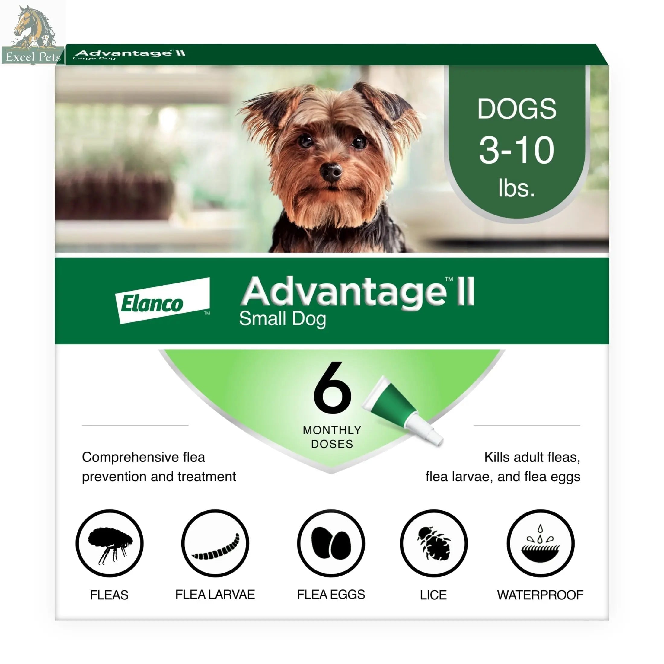 Vet-Recommended Flea Prevention for Small Dogs 3-10 Lbs, 6-Monthly Treatments MJ's Pet Closet