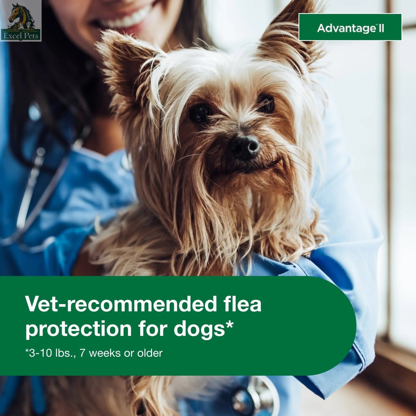 Vet-Recommended Flea Prevention for Small Dogs 3-10 Lbs, 6-Monthly Treatments MJ's Pet Closet
