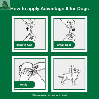 Vet-Recommended Flea Prevention for Small Dogs 3-10 Lbs, 6-Monthly Treatments MJ's Pet Closet