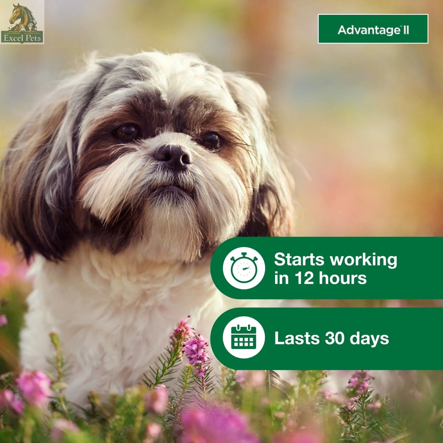 Vet-Recommended Flea Prevention for Small Dogs 3-10 Lbs, 6-Monthly Treatments MJ's Pet Closet