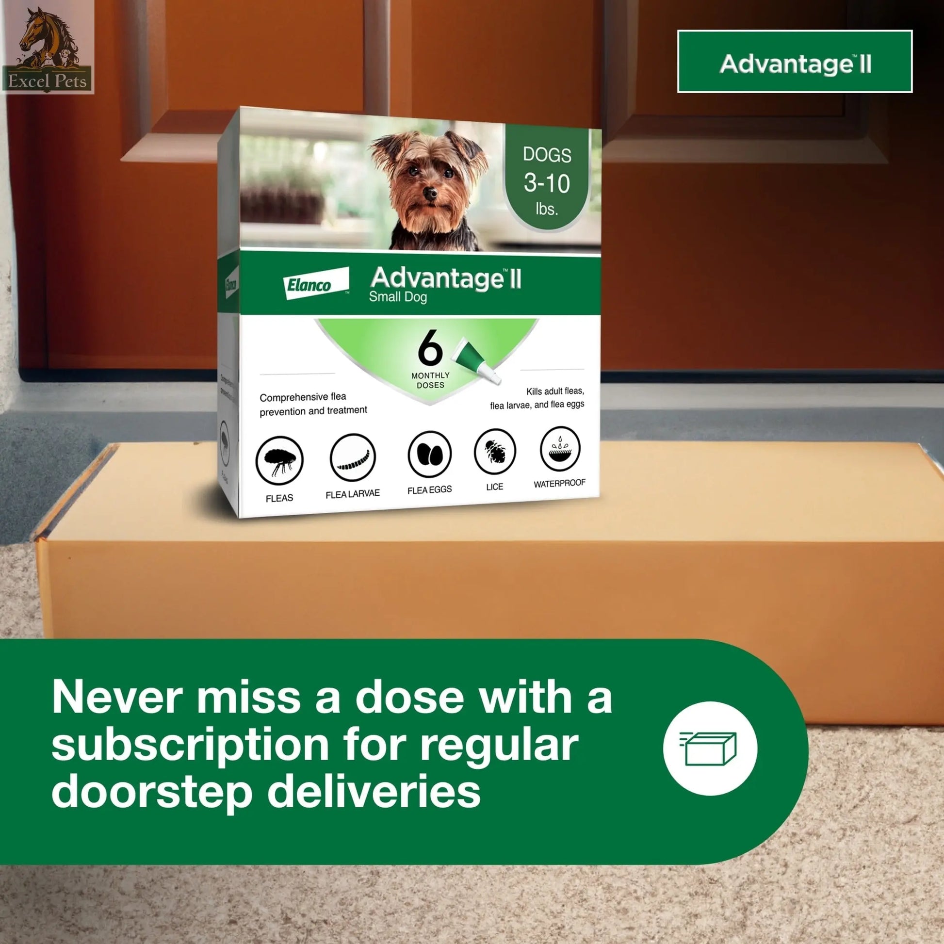 Vet-Recommended Flea Prevention for Small Dogs 3-10 Lbs, 6-Monthly Treatments MJ's Pet Closet