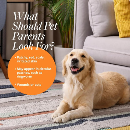 Excel Pets Veterinary Formula Clinical Care Antiseptic and Antifungal Medicated Shampoo for Dogs and Cats 16 oz - Animals & Pet Supplies > Pet Supplies > Pet Grooming Supplies > Pet Shampoo & Conditioner > Shampoos Dog