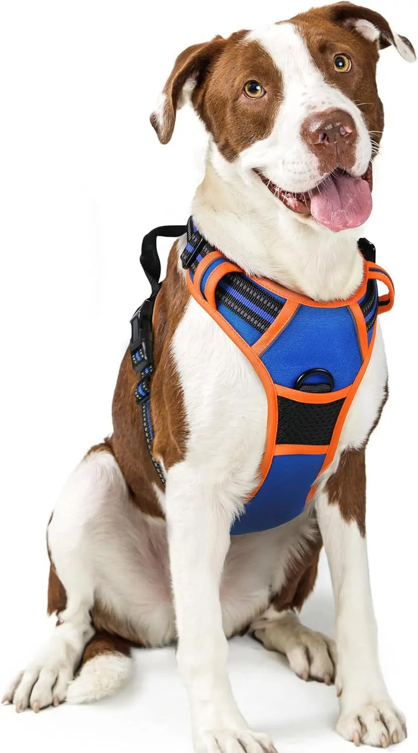 GLOBEGOU CO.,LTD Rabbitgoo Large Dog Harness No Pull Adjustable Soft Padded Vest Reflective Oxford Material Red Plaid Dual Leash Clips - Animals & Pet Supplies > Pet Supplies > Pet Collars & Harnesses Dog