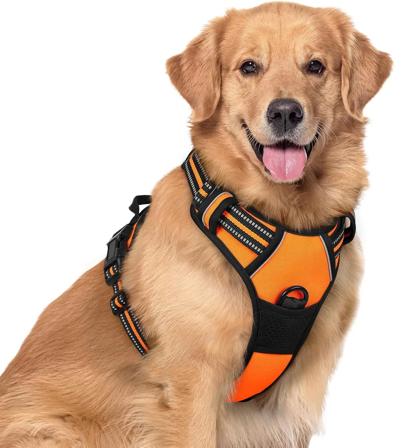 Rabbitgoo Dog Harness No Pull with 2 Leash Clips GLOBEGOU CO.,LTD