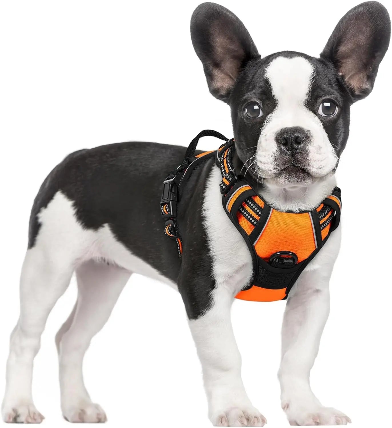 Rabbitgoo Dog Harness No Pull with 2 Leash Clips GLOBEGOU CO.,LTD