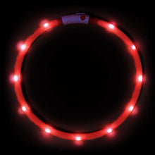 Excel Pets USB Rechargeable LED Dog Collar With Super Bright Night Visibility Up To 500 Meters And Adjustable 11 To 27 Inches - Animals & Pet Supplies > Pet Supplies > Pet Collars & Harnesses > LED Collars Dog