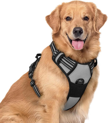Rabbitgoo Dog Harness No Pull with 2 Leash Clips GLOBEGOU CO.,LTD