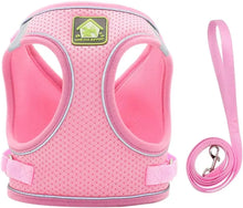 FEimaX FEimaX No Pull Adjustable Dog Harness and Leash Set for Small Dogs and Cats with 1.5 Meter Leash - Animals & Pet Supplies > Pet Supplies > Pet Collars & Harnesses > Harnesses Dog