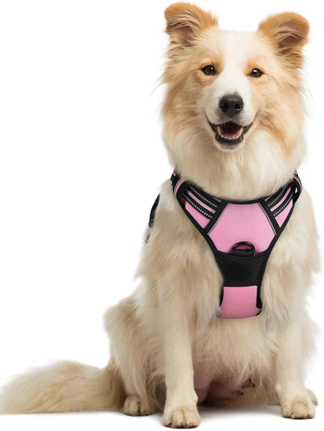 GLOBEGOU CO.,LTD Rabbitgoo Large Dog Harness No Pull Adjustable Soft Padded Vest Reflective Oxford Material Red Plaid Dual Leash Clips - Animals & Pet Supplies > Pet Supplies > Pet Collars & Harnesses Dog