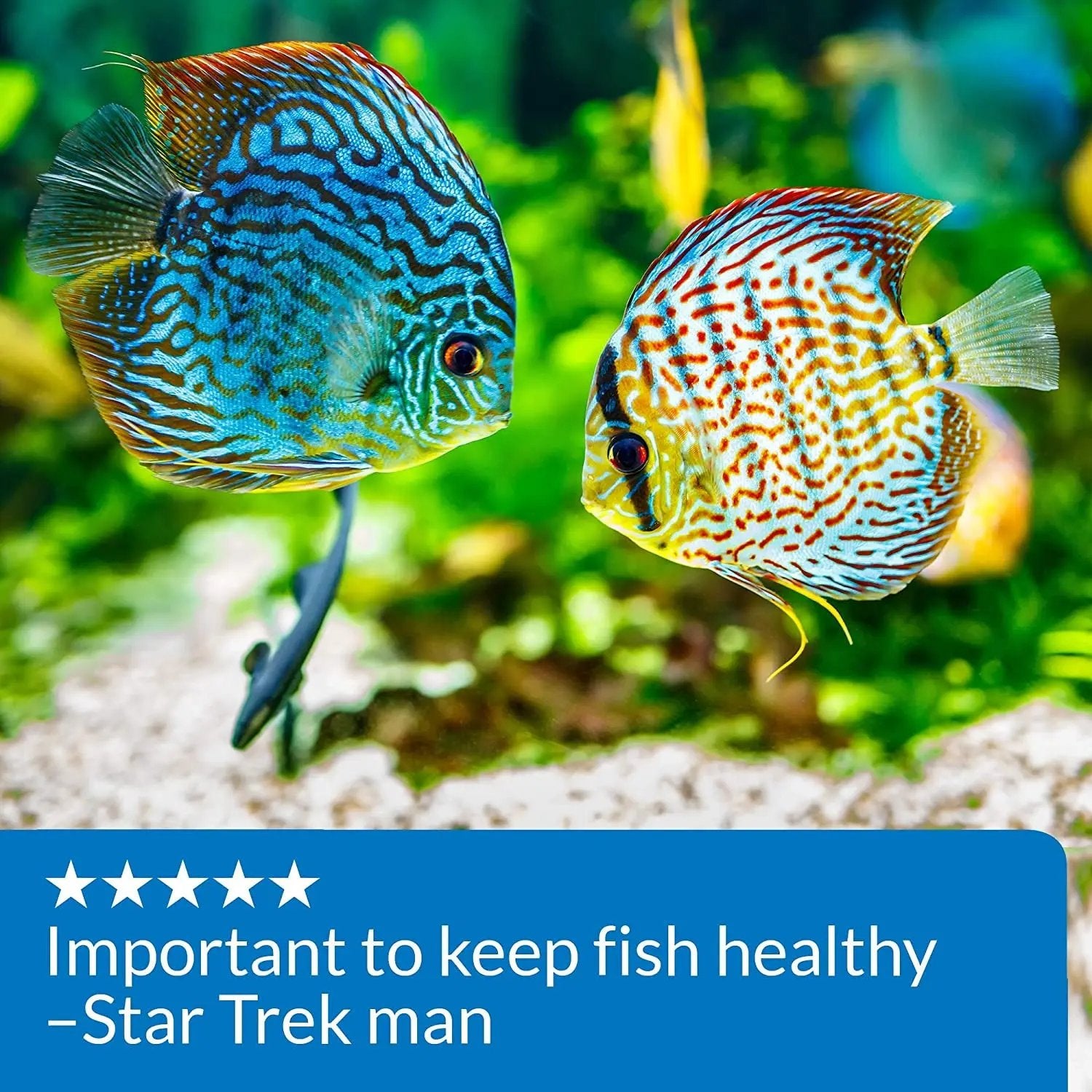 Mars Fishcare API pH Up Freshwater Aquarium pH Raising Solution 16 Ounce Bottle to Safely Raise and Stabilize Your Tank pH - Uncategorized