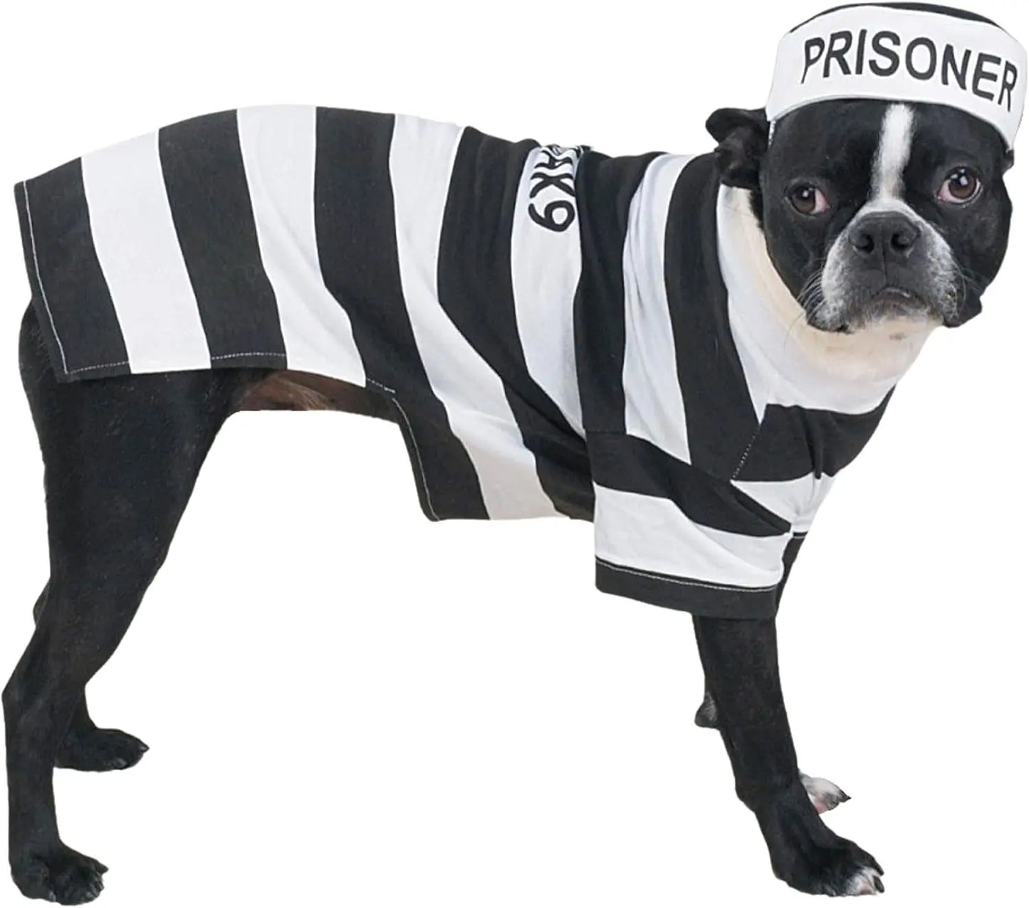 Stylish Prison Pooch Costume for Medium Dogs - Black and White Halloween Apparel PetEdge Dealer Services*