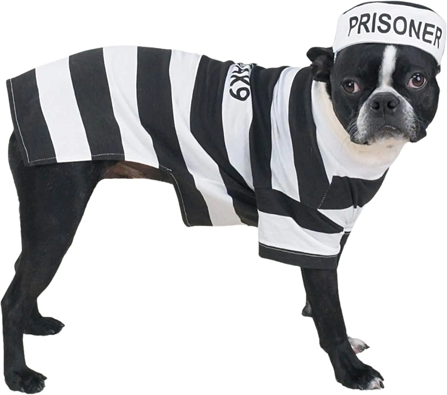 PetEdge Dealer Services* Stylish Prison Pooch Costume For Medium Dogs Black And White Halloween Outfit For Trick Or Treating - Animals & Pet Supplies > Pet Supplies > Pet Apparel > Pet Costumes Dog