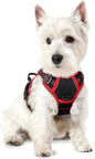 GLOBEGOU CO.,LTD Rabbitgoo Large Dog Harness No Pull Adjustable Soft Padded Vest Reflective Oxford Material Red Plaid Dual Leash Clips - Animals & Pet Supplies > Pet Supplies > Pet Collars & Harnesses Dog