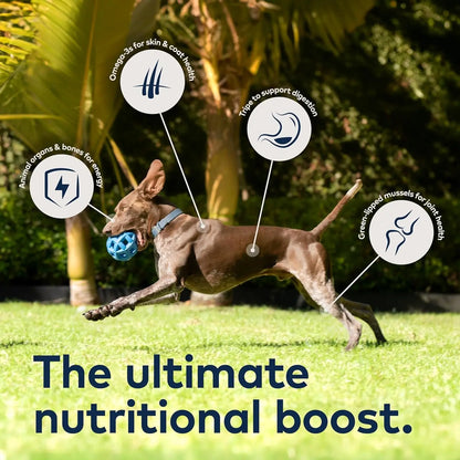 Excel Pets Peak Air Dried Dog Food With Beef And Organs Bone Grain Free High Protein Nutrient Dense New Zealand Green Mussels - Animals & Pet Supplies > Pet Supplies > Dog Supplies > Dog Food > Non-Prescription Dog Food Dog
