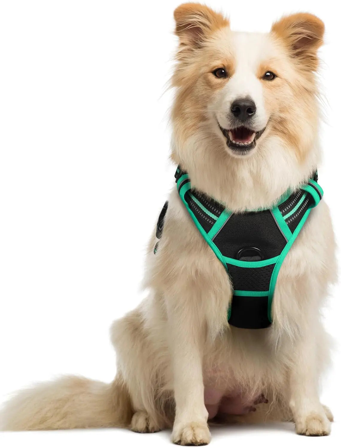 GLOBEGOU CO.,LTD Rabbitgoo Large Dog Harness No Pull Adjustable Soft Padded Vest Reflective Oxford Material Red Plaid Dual Leash Clips - Animals & Pet Supplies > Pet Supplies > Pet Collars & Harnesses Dog