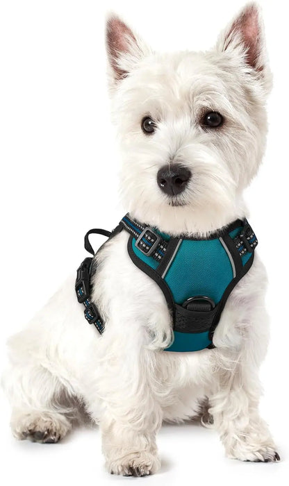 Rabbitgoo Dog Harness No Pull with 2 Leash Clips GLOBEGOU CO.,LTD