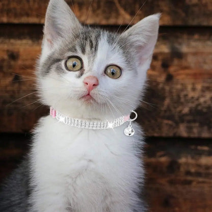 EXPAWLORER Expawlorer Soft Velvet Breakaway Cat Collar With Rhinestones Adjustable Nine To Twelve Inches - Animals & Pet Supplies > Pet Supplies > Pet Collars & Harnesses > Breakaway & Safety Collars cat