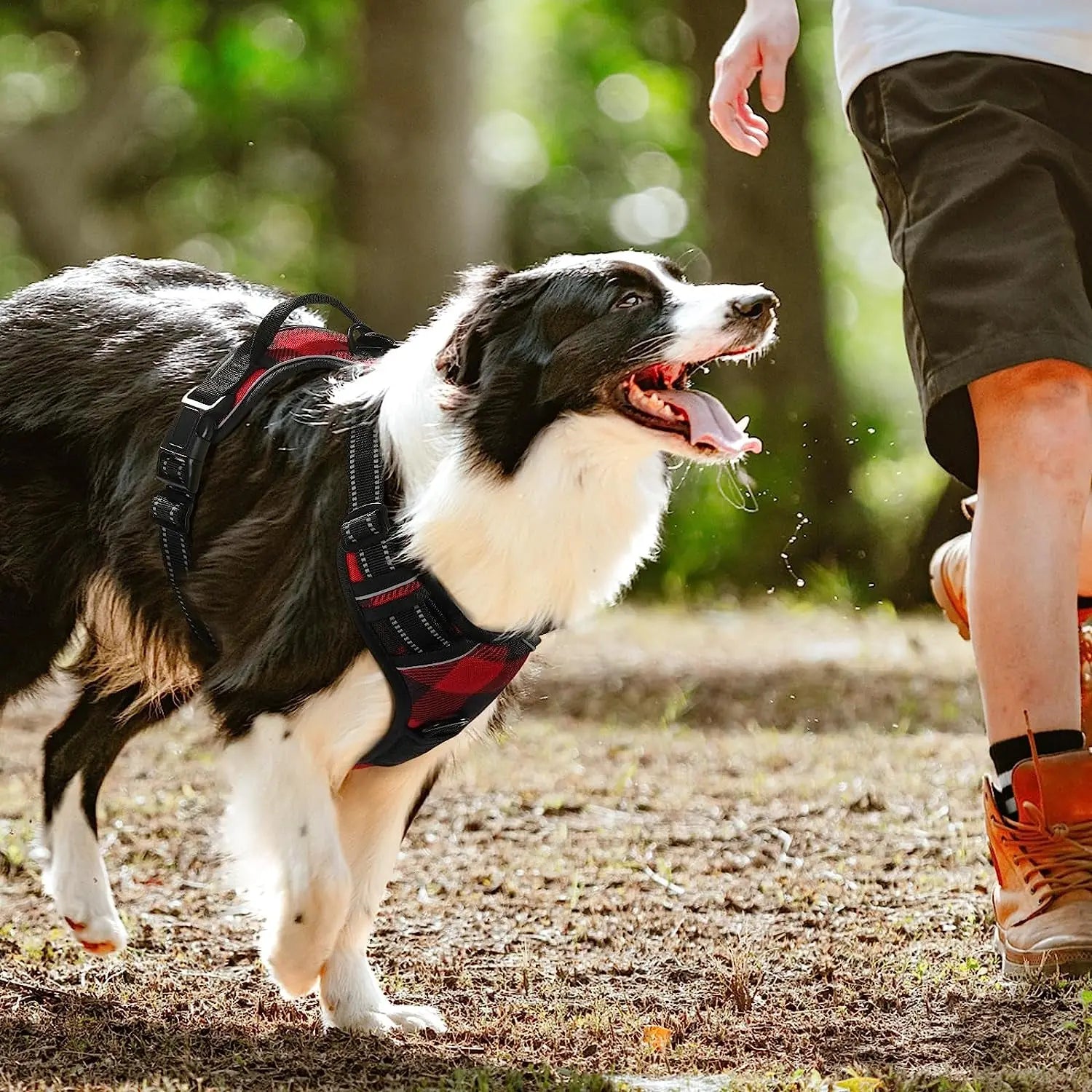 Rabbitgoo Dog Harness No Pull with 2 Leash Clips GLOBEGOU CO.,LTD