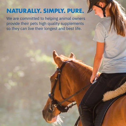 Equa Holistics LLC. Healthygut Probiotics For Horses Performance Formula Digestive Health Support 90 Day Supply - Sporting Goods > Outdoor Recreation > Equestrian > Horse Care > Horse Vitamins & Supplements Equine