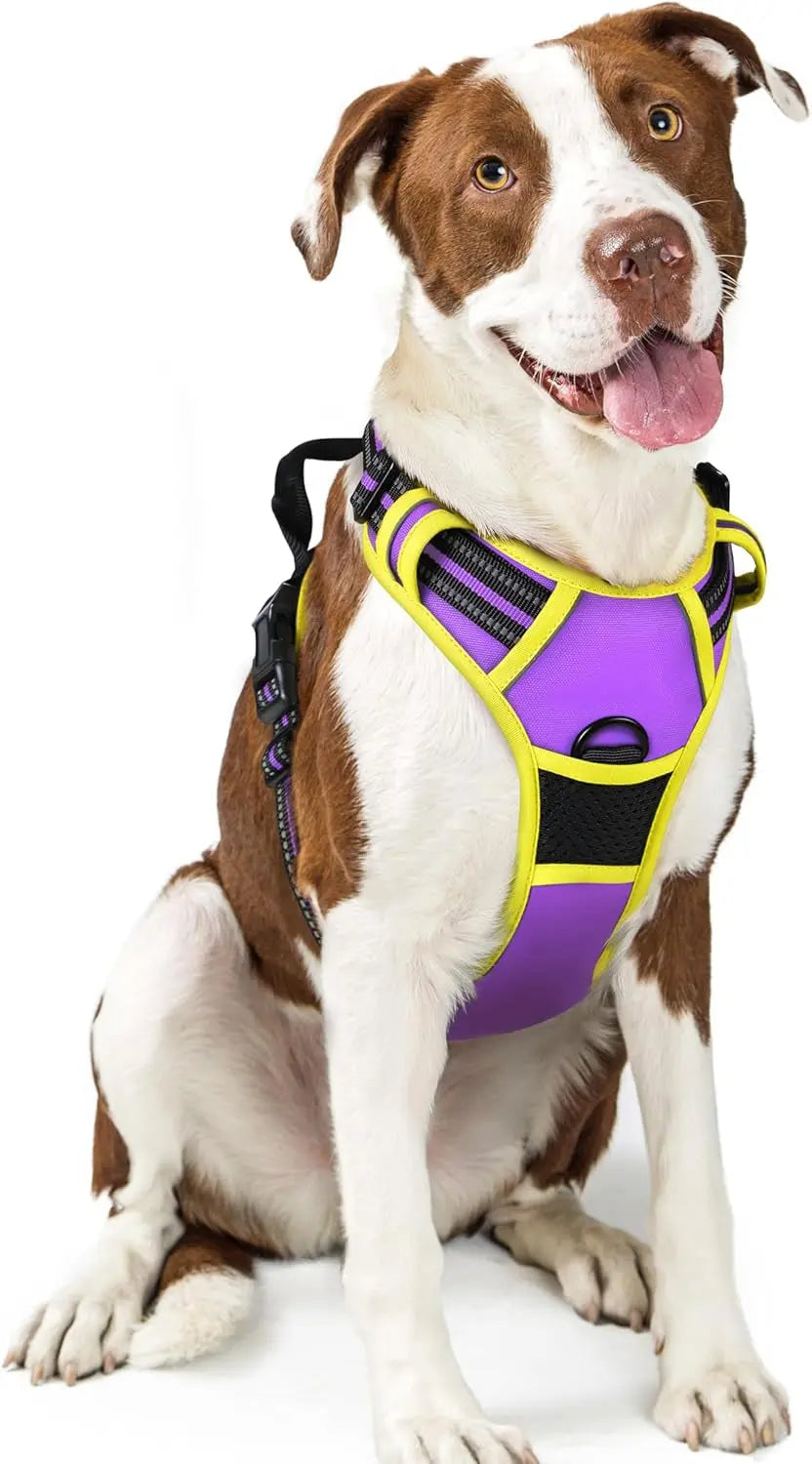 GLOBEGOU CO.,LTD Rabbitgoo Large Dog Harness No Pull Adjustable Soft Padded Vest Reflective Oxford Material Red Plaid Dual Leash Clips - Animals & Pet Supplies > Pet Supplies > Pet Collars & Harnesses Dog