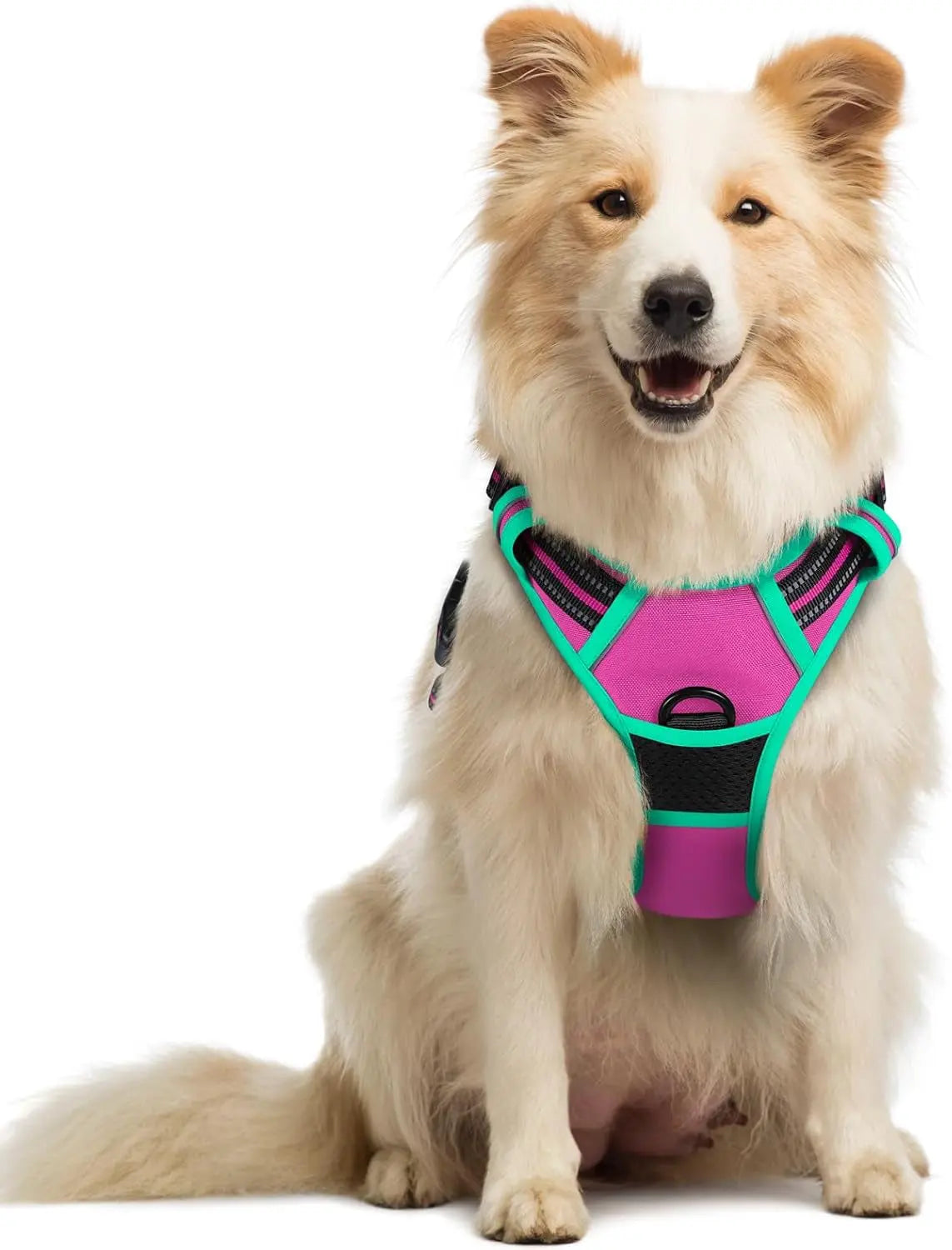 GLOBEGOU CO.,LTD Rabbitgoo Large Dog Harness No Pull Adjustable Soft Padded Vest Reflective Oxford Material Red Plaid Dual Leash Clips - Animals & Pet Supplies > Pet Supplies > Pet Collars & Harnesses Dog
