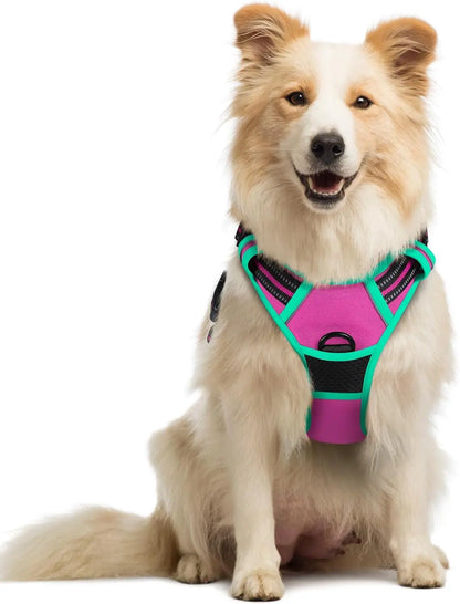 Rabbitgoo Dog Harness No Pull with 2 Leash Clips GLOBEGOU CO.,LTD