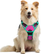 GLOBEGOU CO.,LTD Rabbitgoo Large Dog Harness No Pull Adjustable Soft Padded Vest Reflective Oxford Material Red Plaid Dual Leash Clips - Animals & Pet Supplies > Pet Supplies > Pet Collars & Harnesses Dog