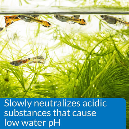 Mars Fishcare API pH Up Freshwater Aquarium pH Raising Solution 16 Ounce Bottle to Safely Raise and Stabilize Your Tank pH - Uncategorized