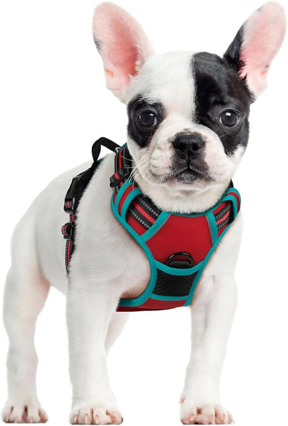 Rabbitgoo Dog Harness No Pull with 2 Leash Clips GLOBEGOU CO.,LTD