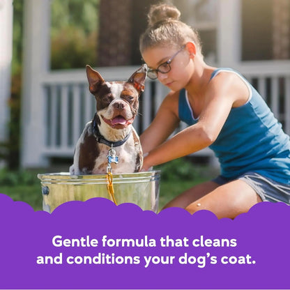 Excel Pets Buddy Wash Lavender And Mint Dog Shampoo And Conditioner Two In One Gentle Formula Calming Scent - Animals & Pet Supplies > Pet Supplies > Pet Grooming Supplies > Pet Shampoo & Conditioner Dog