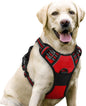 GLOBEGOU CO.,LTD Rabbitgoo Large Dog Harness No Pull Adjustable Soft Padded Vest Reflective Oxford Material Red Plaid Dual Leash Clips - Animals & Pet Supplies > Pet Supplies > Pet Collars & Harnesses Dog