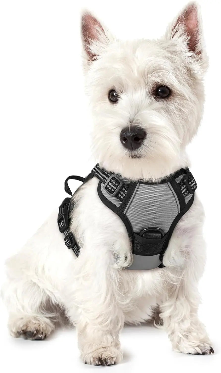 Rabbitgoo Dog Harness No Pull with 2 Leash Clips GLOBEGOU CO.,LTD