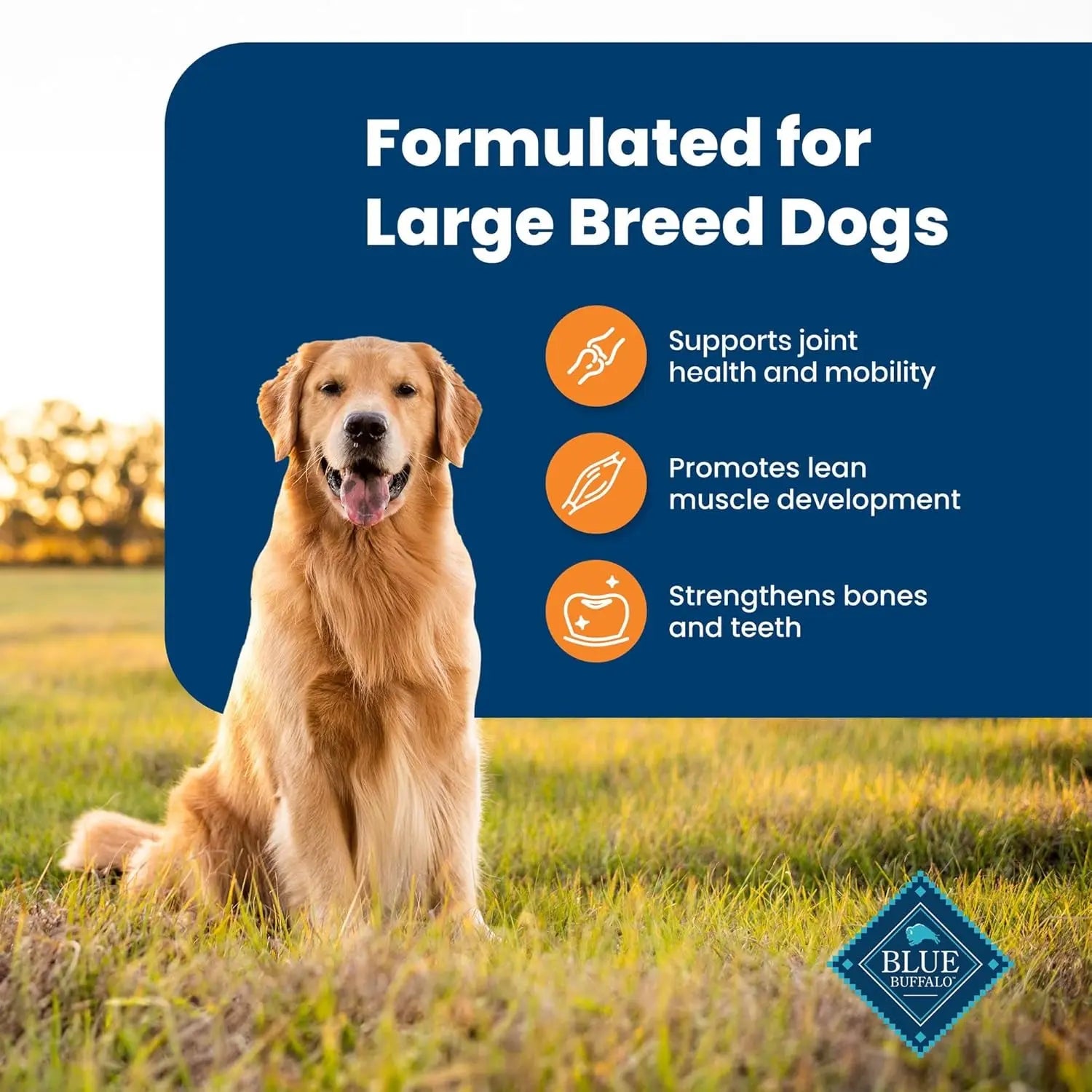 Blue Buffalo Life Protection Formula Large Breed Adult Dry Dog Food, Chicken & Brown Rice Recipe, 30-Lb Bag - Supports Joint Health and Promotes Lean Muscle with Natural Ingredients Blue Buffalo Company, Ltd