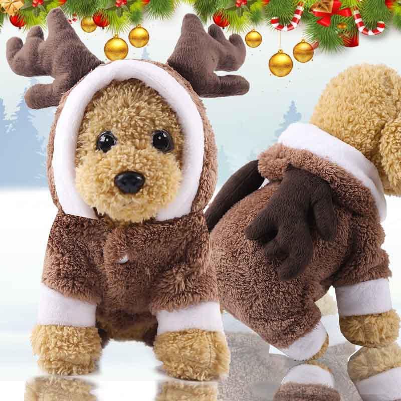 Small dog wearing a brown Cozy Canine Christmas Sweater with antlers and white trim in a festive holiday setting.