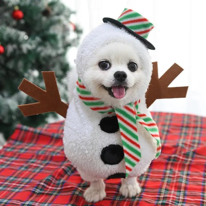 Small white dog wearing Cozy Canine Christmas Sweater designed like a snowman with scarf and hat on plaid background