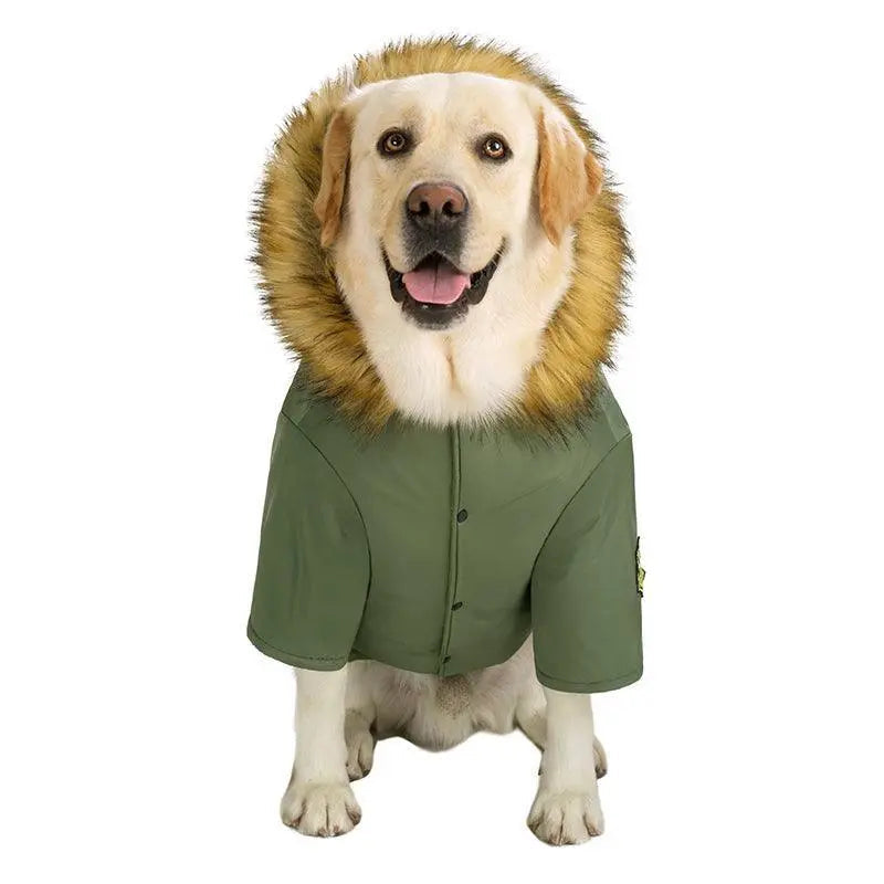 Large dog wearing Cozy Canine Cotton Jacket army green winter coat with fur hood