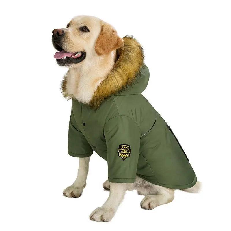 Large dog wearing Cozy Canine Cotton Jacket in army green with fur-trimmed hood and polar fleece lining
