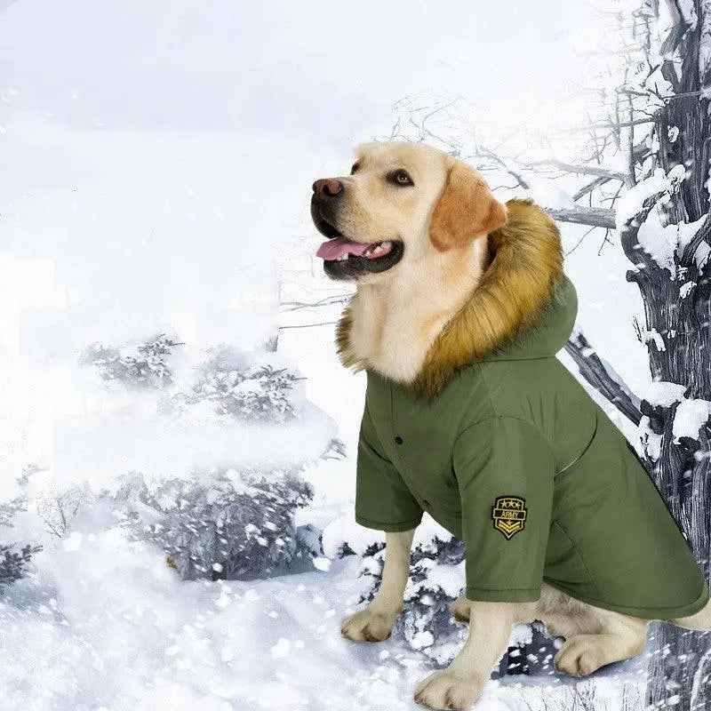 Large dog wearing Cozy Canine Cotton Jacket in army green with fur-trimmed hood in snowy winter setting