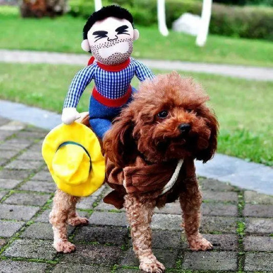 Small brown dog wearing cozy cotton canine attire with rider doll accessory outdoors on pavement