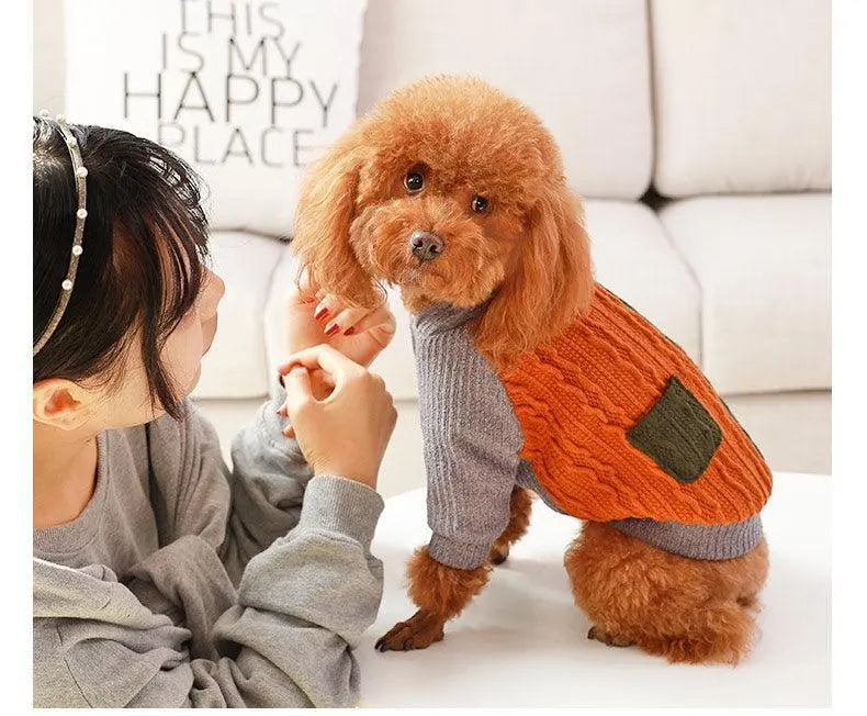 small brown dog wearing cozy cotton orange and gray sweater sitting next to person