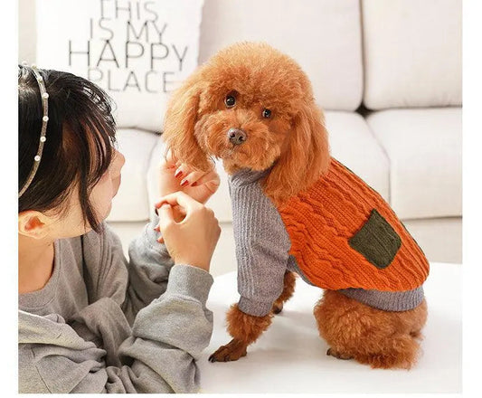 small brown dog wearing cozy cotton orange and gray sweater sitting next to person