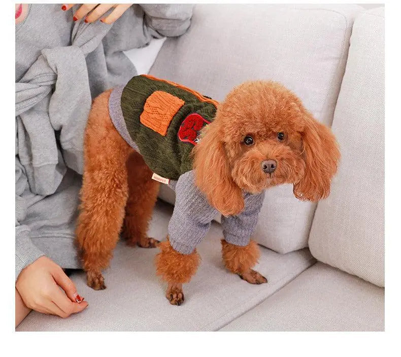 small brown poodle wearing a cozy cotton dog sweater with olive green and orange patches sitting on a beige couch