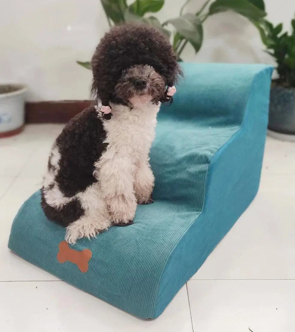 Small brown and white dog sitting on teal CozyStep removable washable pet dog small sponge ladder stairs