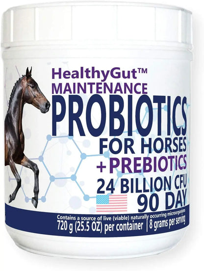 Equa Holistics LLC. Healthygut Probiotics For Horses Performance Formula Digestive Health Support 90 Day Supply - Sporting Goods > Outdoor Recreation > Equestrian > Horse Care > Horse Vitamins & Supplements Equine